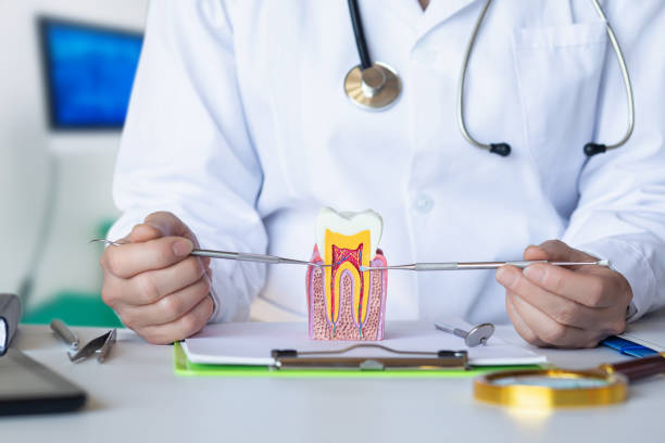 Best Emergency Treatment for Oral Infections in Westbury, NY